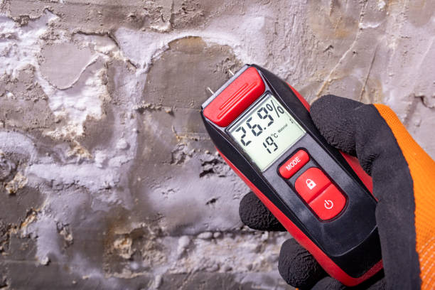 Best Affordable Mold Removal  in Elk Ridge, UT